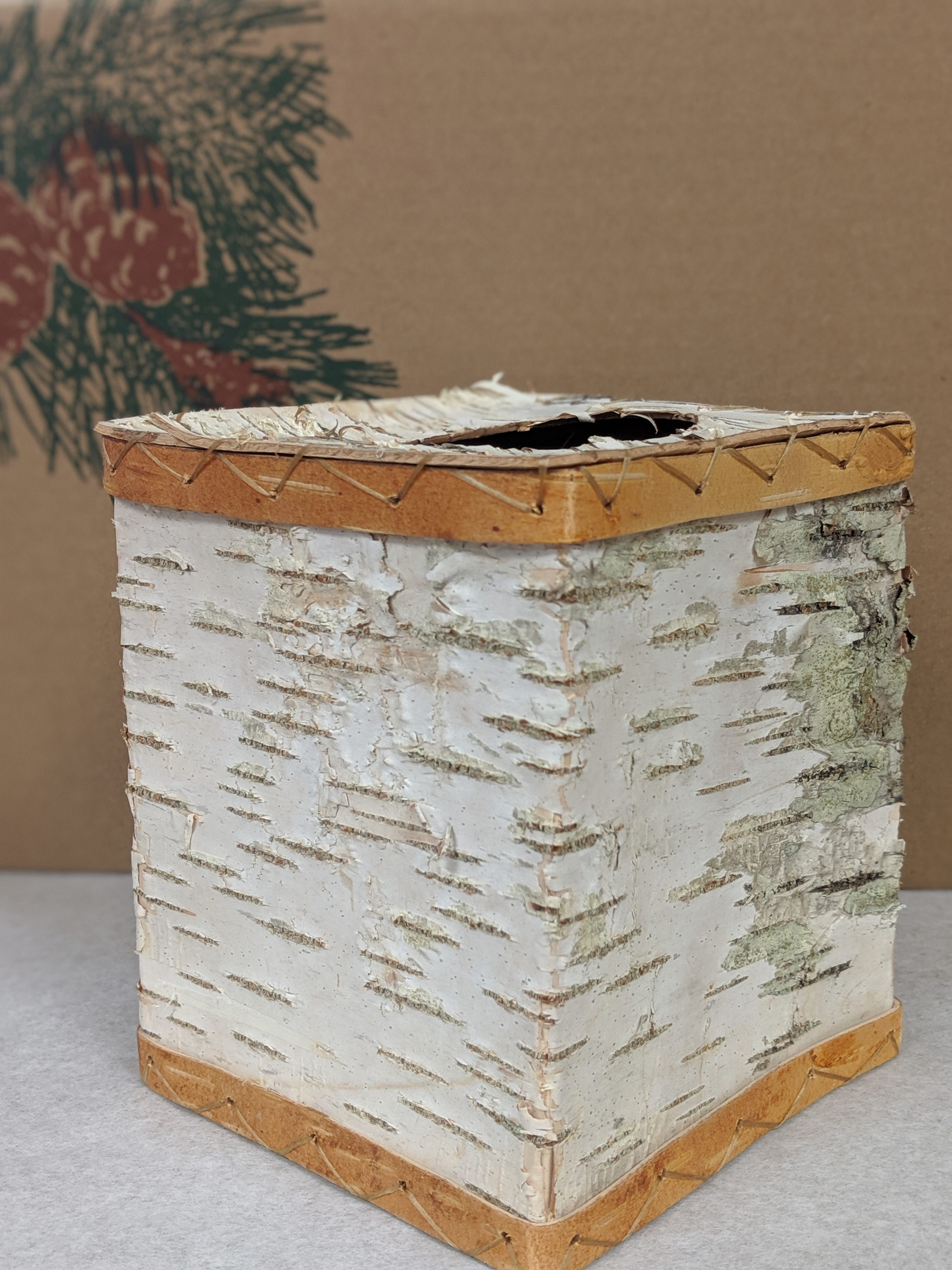 Birch Bark Tissue Box Cover